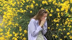 allergic to bloom Stock Footage