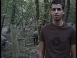 RR0246/C  Italy: Slow Cities News Clip