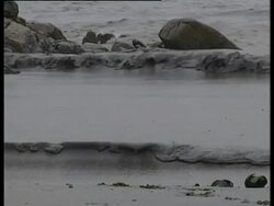 Thick oiled waves break on beach. La Coruna, Spanish Mediterranean, Urquiola spill, May 1976. Stock Footage