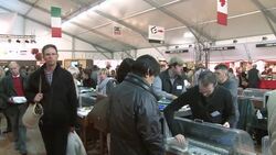 Rare and highly prized white truffles sell for thousands of dollars News Clip