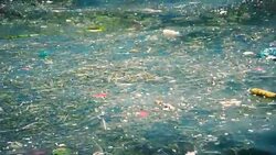 Water Pollution Stock Footage