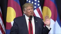 Trump: I have used tax laws "brilliantly" News Clip