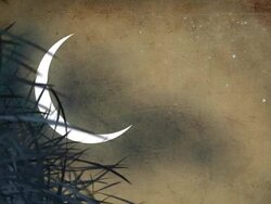 Moon In The Mysterious Night Stock Footage