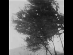 SYND 22 12 67 SEVERE SNOW STORMS HIT ISLAND OF SICILY News Clip