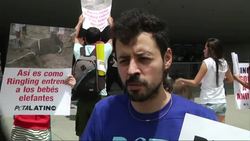 Mexico Circus - Animal rights protest outside entrance to Ringling Brothers circus News Clip