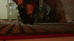 Cowgirl Boots Stock Footage