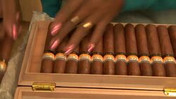 A woman does a quality control check on a box of Cohiba cigars. Stock Footage