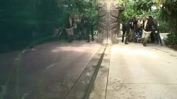 CLEAN : A new manatee comes to the Paris Zoo News Clip