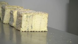 Blue Cheese maker News Clip