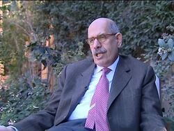 Ex-UN nuclear chief urges Egypt''s govt to respond to demands for change News Clip
