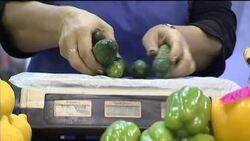 Three generations on 20th anniv of fall of Communism News Clip