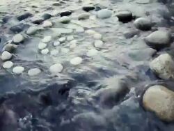 MS Shot of Spiral of rocks in river / Stone Ridge, New York, United States Stock Footage
