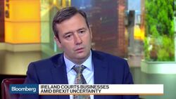 Ireland's D'Arcy on Brexit Moves, Taxes, Border News Clip