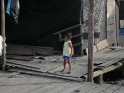 Illegal Gold Mining In Madre De Dios, Peru Stock Footage