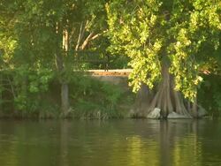 HD 1080i People walking along river park Stock Footage