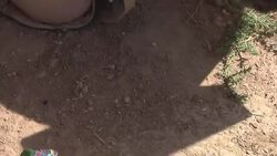 Afghan soldiers rush to learn how to defuse IEDs ahead of coalition pullout Instructional Video