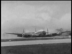 COLOMBIA - ""BELLY FLOP"" News Clip