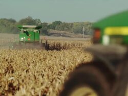 A combine travels away from camera, harvesting corn in a large field, the shaft is discharged and blows in the wind. Stock Footage