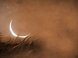 Mystical Night Landscape HD Stock Footage