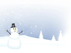 Blizzard with Snowman Stock Footage