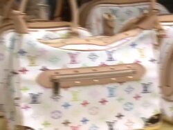 The Brooklyn Museum and Louis Vuitton Honor Japanese Artist Takashi Murakami Stock Footage