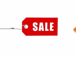 Goldfishes rushing for sale Stock Footage