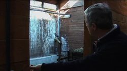 Wounded birds of prey treated then released into the wild News Clip