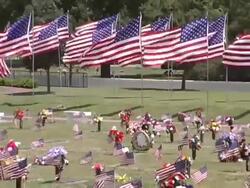 Cemetery Flags - Zoom out Stock Footage