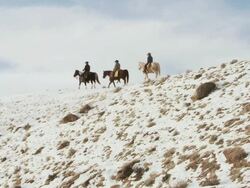LA Cowboys and cowgirl on horseback walking slowly along snowy ridge as dog is following along / Shell, Wyoming, United States Stock Footage
