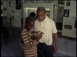 Exhibition brings tropical butterflies to New York News Clip