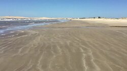 CLEAN : FILE: Teens murder shocks Uruguay News Clip