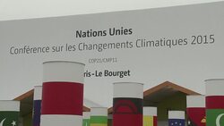 CLEAN : COP21 Wake up environmental activists tell heads of state News Clip