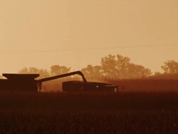 Wide shot in a cornfield featuring a combine transferring harvested corn into a wagon against golden sunset. Stock Footage