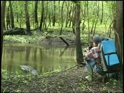 Man kneeling down next to river and takes picture of alligator in water, Brazos Bend State Park, Texas, USA Stock Footage