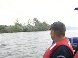 Samples taken from Danube after fish die in eastern Serbia News Clip