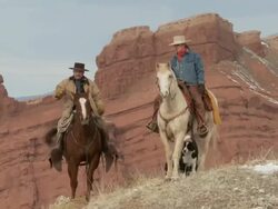 WS Cowgirl and cowboy on horseback stop at hilltop with dogs / Shell, Wyoming, United States Stock Footage
