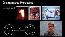 Using Gibbs Free Energy Instructional Video