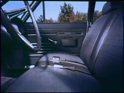 Young couple picnic with their 1969 Rambler wagon Stock Footage