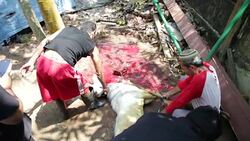 Muslims Celebrate Eid Al-Adha In Indonesia Stock Footage