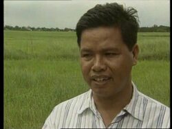PHILIPPINES: RAT ATTACK LATEST PROBLEM TO HIT FARMERS News Clip