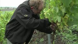 CLEAN : French industrial hotspot picks News Clip