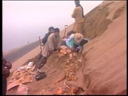 Peru - Mammoth Remains Found News Clip