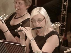 Piccolo player in action Stock Footage