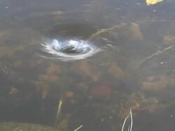 Vortex 2 Stock Footage