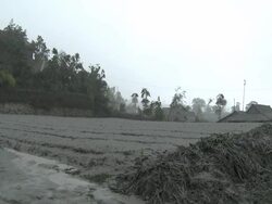 Field coated in thick layer of volcanic ash mud from Merapi volcano; Indonesia. 7 November 2010 / AUDIO Stock Footage