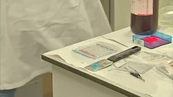 UK Obesity News Clip