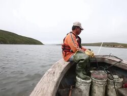Oyster Farmers Begin To Wind Down Operations After Feds End Nat'l Seashore Lease Stock Footage
