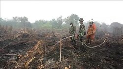 CLEAN : Indonesia chocked by haze from agricultural fires News Clip