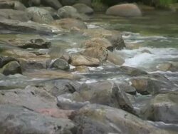 MS Shot of Mississippi river / Lake Itasca, Minnesota, United States  Stock Footage