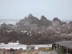 Fit Female runs along a wooden path Stock Footage